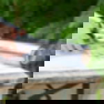 Plastik Tischdecke Rolle Plastiktischdecke transparent