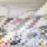 beachflag outdoor - XL Beachflag Basic Standard - XL