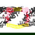Bayer Leverkusen