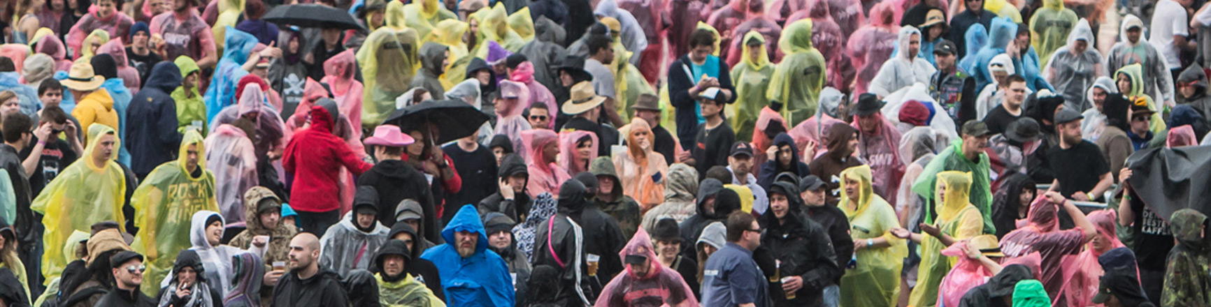 Category: Audience & Participants