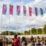 boom flag - without hemstitch Hoist flag 120x300 cm portrait format - without hemstitch - eyeleted