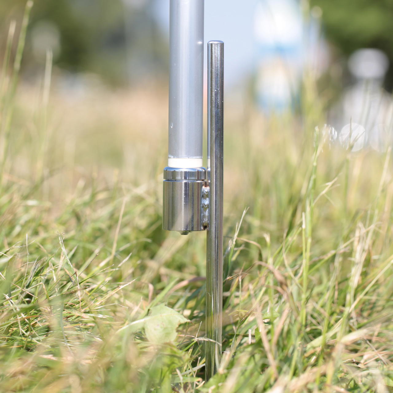 beachflag earthspike