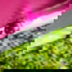 bungee tie with ball closure - black bungee tie with ball closure - black