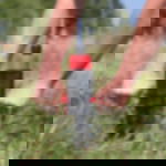 Beachflag Bodendübel Beachflag Bodendübel