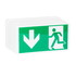 Preview: emergency exit lamp