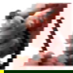 Kabelbinder lösbar - 7,6 mm x 200 mm Kabelbinder lösbar - schwarz - 7,6 mm x 200 mm