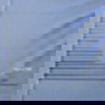 Kabelbinder schwarz - 12,6 mm x 730 mm Kabelbinder schwarz - 12,6 mm x 730 mm