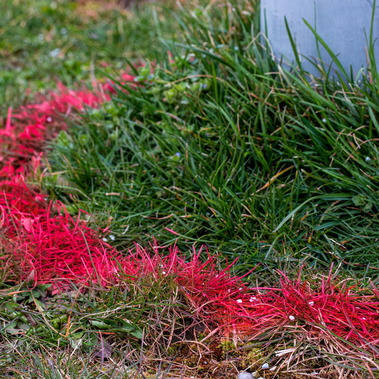 Kreidespray GRIP - neonrot