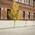 Preview: molton cover b1