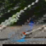 Markierroller Markierroller für Spraydosen