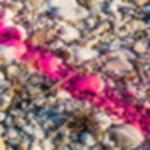 chalk spray cheap - neon pink Chalk spray GRIP - neon pink