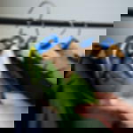 coatroom tokens with hole Coatroom tokens, extension set 1501 - 2000