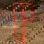 barrier rod barrier rod