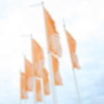 boom flag - without hemstitch Hoist flag 120x300 cm portrait format - without hemstitch - eyeleted