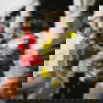 Emergency blanket Thermal blanket – Heatsheet 10 pieces