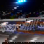 Hohlkammerplatten bedruckt - DIN A1 Hohlkammerplatte DIN A1 / A2 / A3 - DIN A1