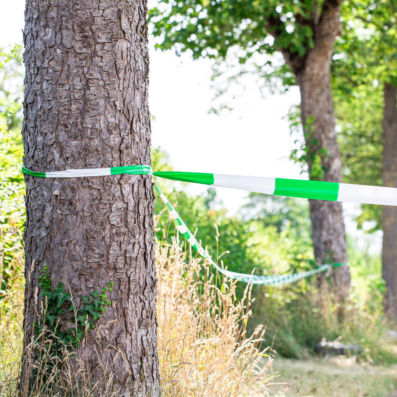Absperrband gestreift - grün-weiß