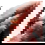 Kabelbinder lösbar - 7,6 mm x 200 mm Kabelbinder lösbar - schwarz - 7,6 mm x 200 mm