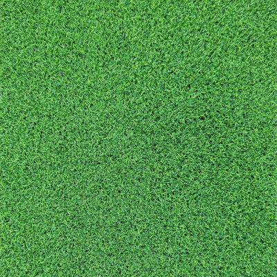 Artificial grass carpet Artificial grass carpet | 2 m - green