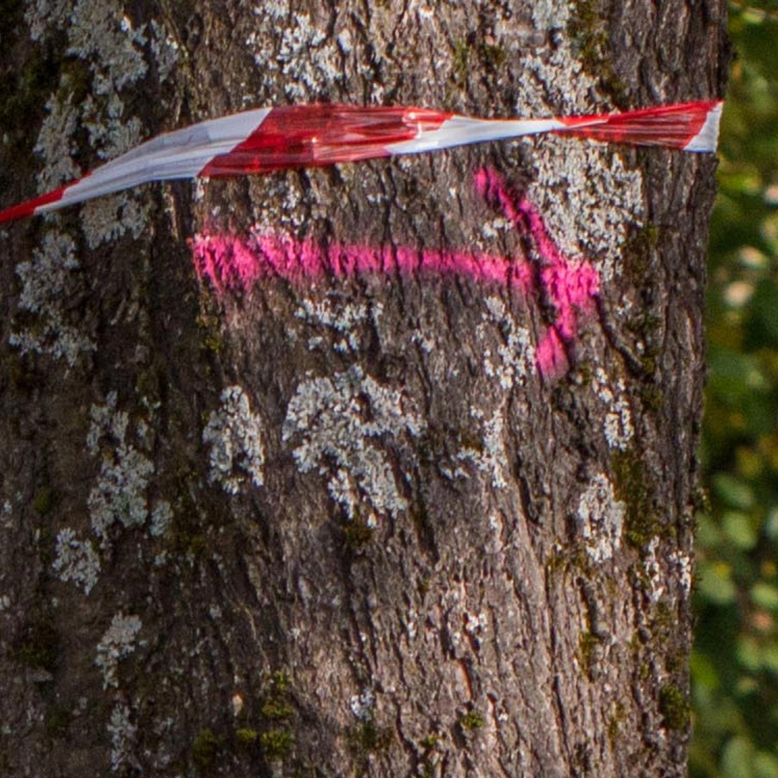 Chalk spray GRIP - neon pink