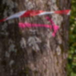 chalk spray cheap - neon pink Chalk spray GRIP - neon pink