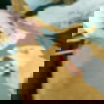 coatroom tokens roll - green coatroom tokens roll - green