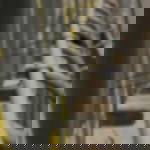 Expanderseil schwarz Expanderseil schwarz