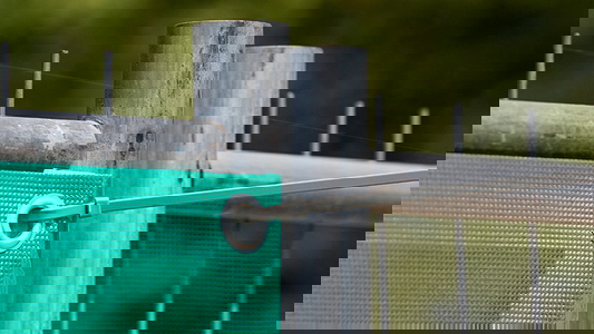 Image related to content
