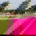 lacquer foil roll - white lacquer foil roll - white