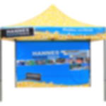 pavilion wall - inside Pavilion side wall PROMO 3 x 3 m - inside