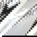 Selbstklebendes Flauschband - 20 mm Selbstklebendes Flauschband - 20 mm - schwarz