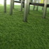 Preview: Lawn carpets B1