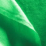 Stage Molton B1 roll - Greenscreen Stage Molton B1 - roll 30 running metres - Greenscreen