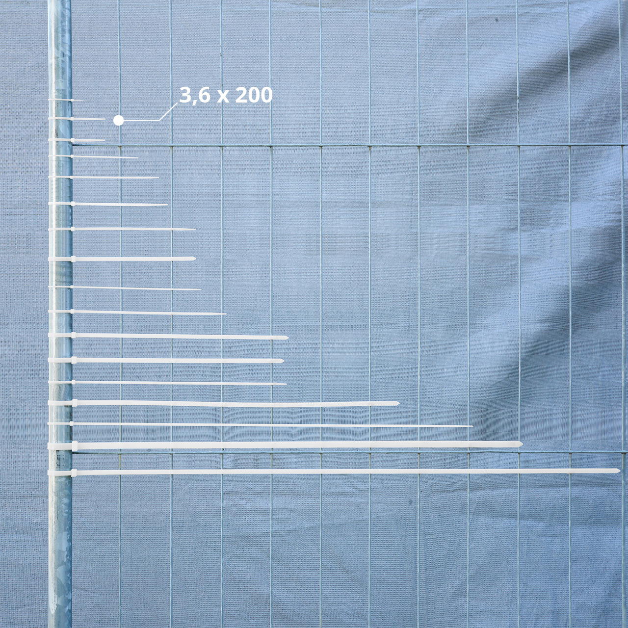 Kabelbinder weiß - 3,6 mm x 200 mm