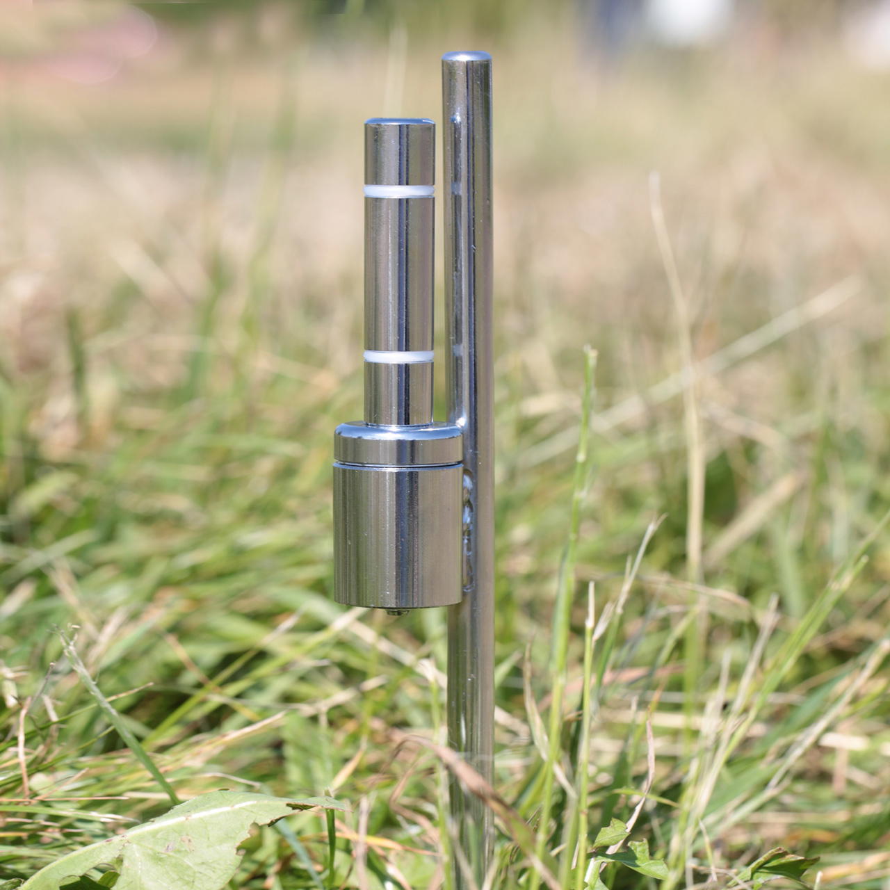 beachflag earthspike