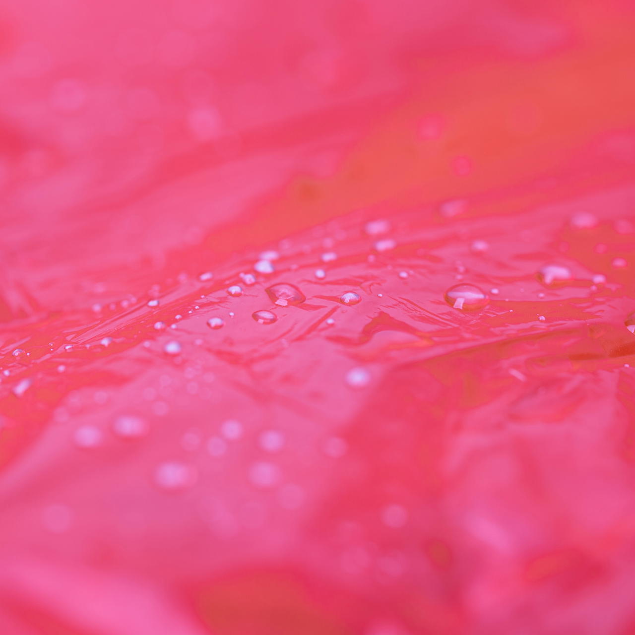 Disposable raincape GRIP – pack of 10 - red