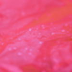 disposable raincape - red Disposable raincape GRIP – pack of 10 - red