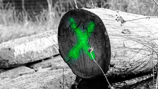 Fluorescent marking sprays