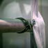 Preview: bungee cords