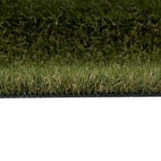 Rasenteppich grün 2 x 30 m - 2 m