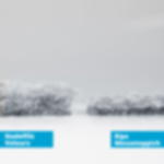 Nadelfilz Teppichboden B1 - hellgrau Nadelfilz Velours B1 - hellgrau