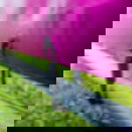 Spanngummi - 25 cm Spanngummi mit Haken - 25 cm