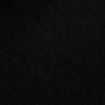 flat felt carpet - black Flat felt carpet B1 - black