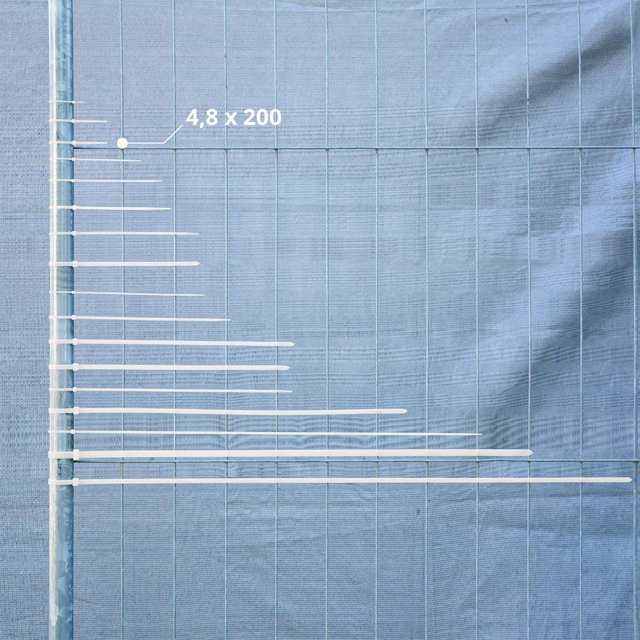 cable ties white - 4.8 mm x 200 mm