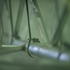 Preview: bungee cords