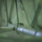 Spannfix - grau Spannfix Gummispanner - grau - 24 cm