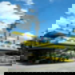 endless nonwovens - 2-coloured endless nonwovens - 2-coloured - 80 cm - 250 cm