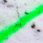 chalk spray cheap - neon green Chalk spray GRIP - neon green