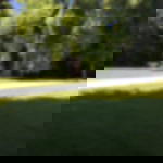 geotextile geotextile