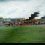 Alu Dibond Schilder - DIN A1 Alu Dibond Schild DIN A1 / A2 / A3 - DIN A1